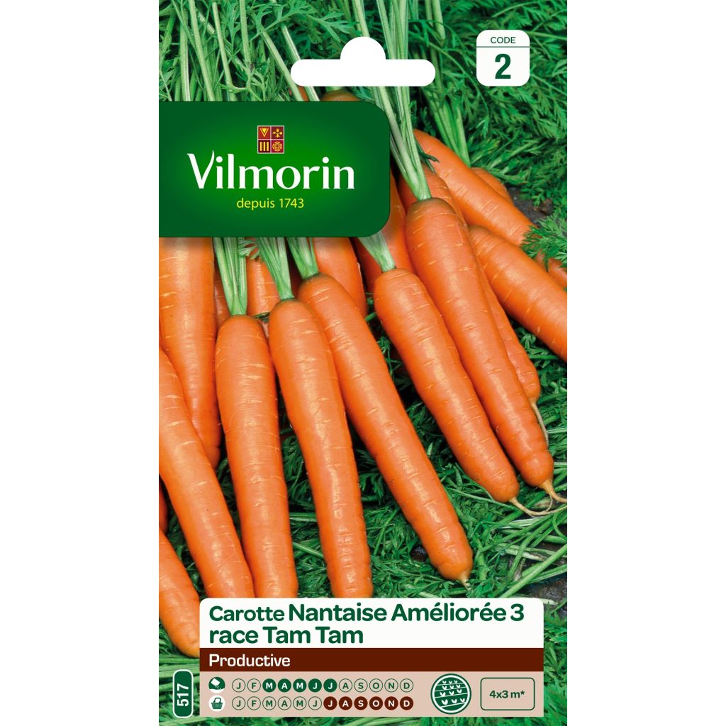 Carota Nantese migilorata 3 race Tam Tam