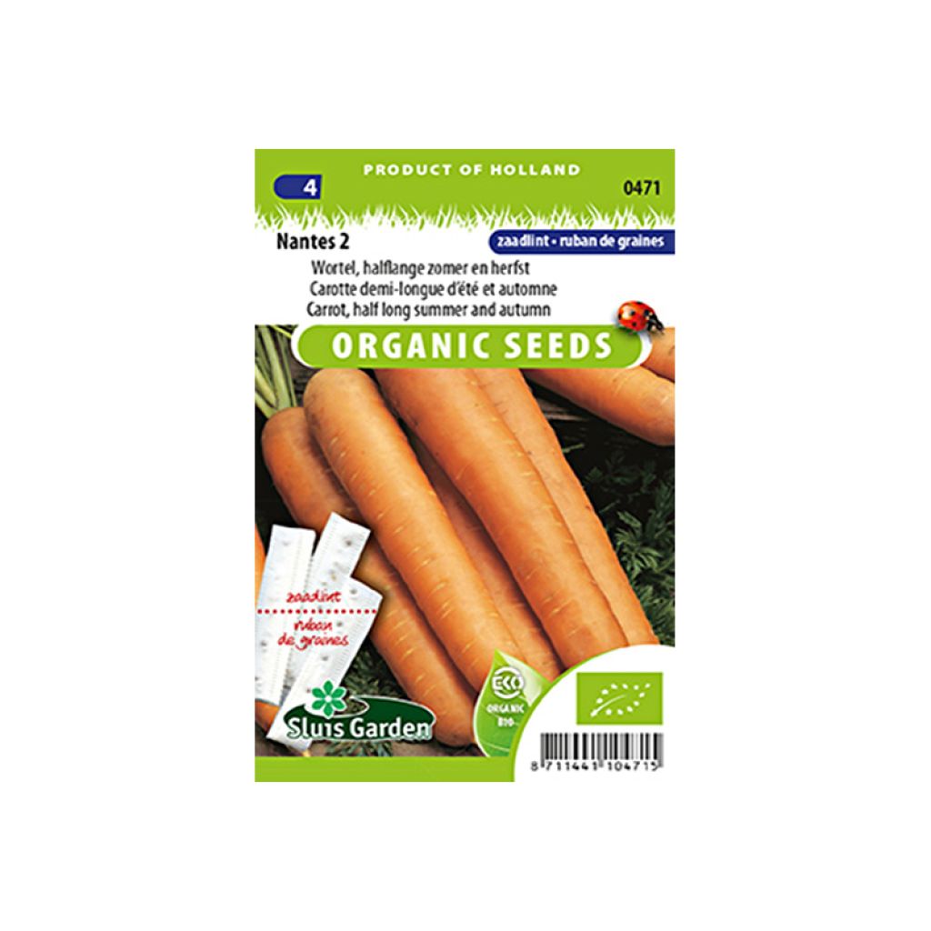 Carota Nantese 2 (Semi a nastro)