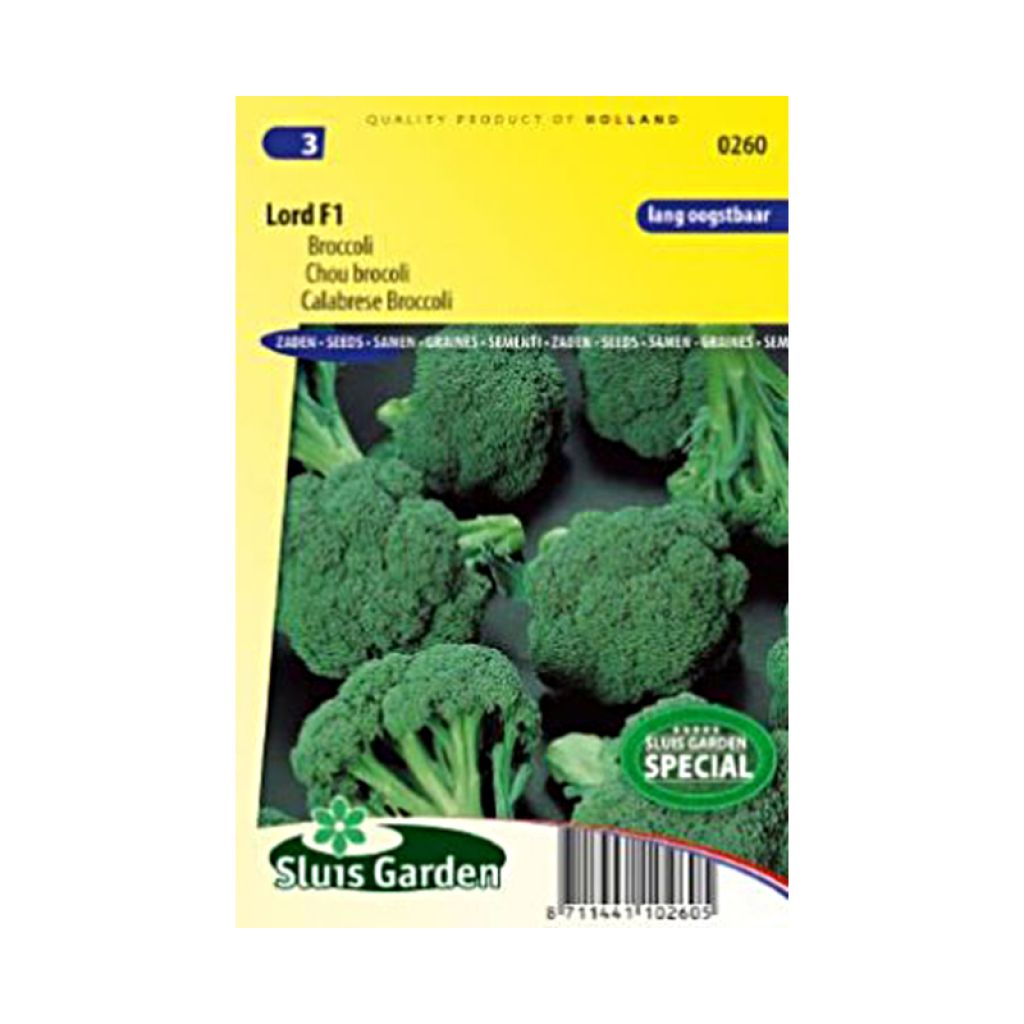 Cavolo broccolo Lord F1