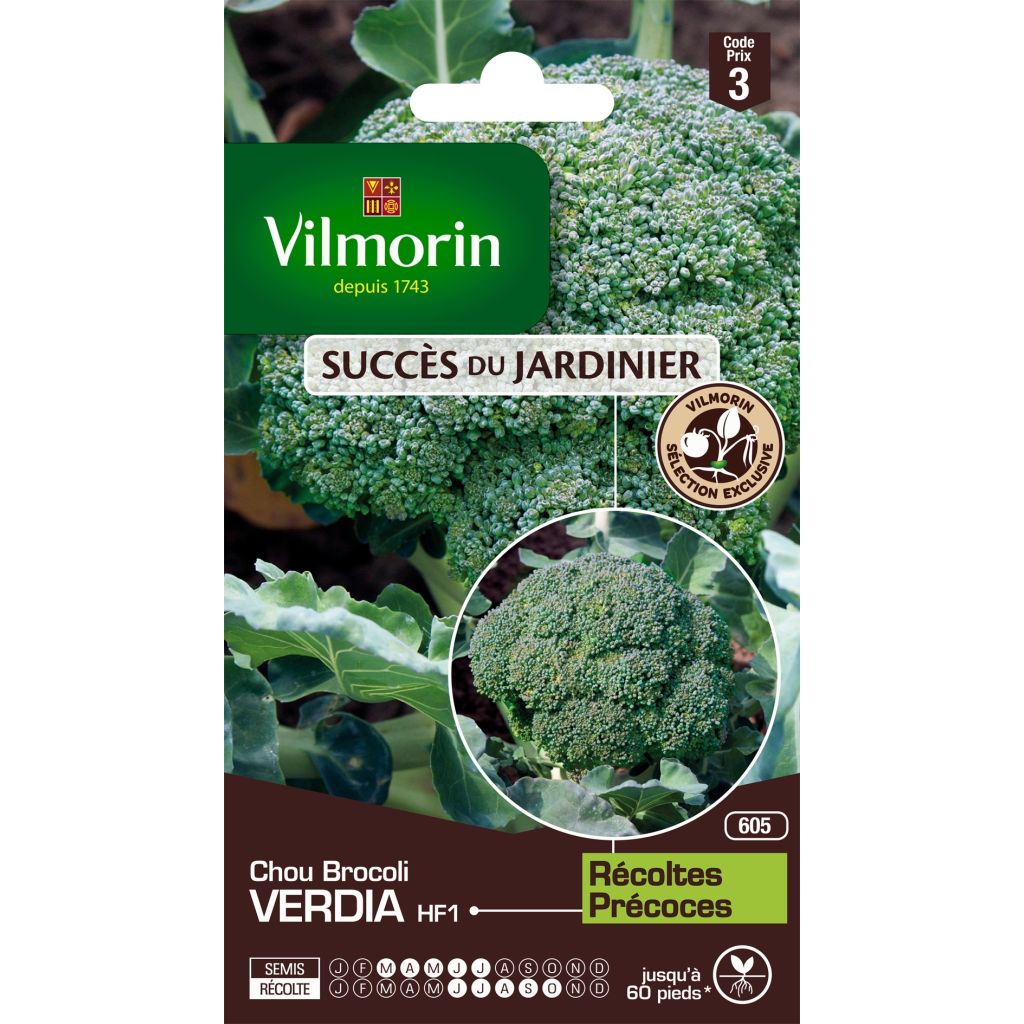 Cavolo broccolo Verdia F1 - Vilmorin