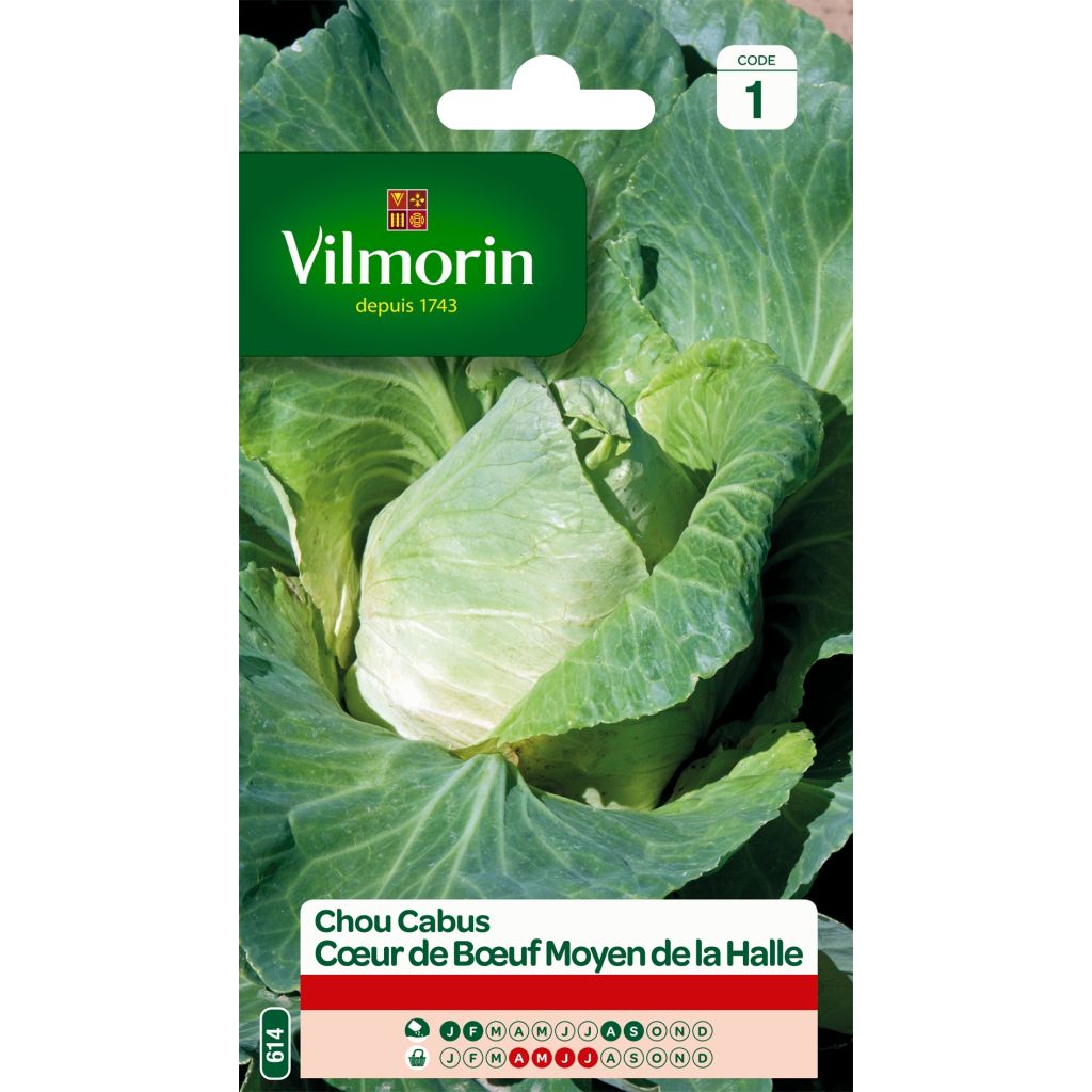 Cavolo cappuccio a Cuor di bue Moyen de la Halle - Vilmorin