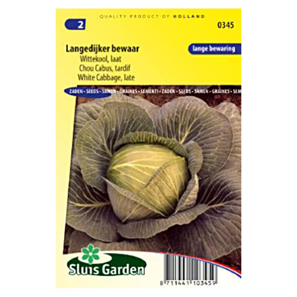 Cavolo cappuccio de Langedijker bewaar - Langedijk