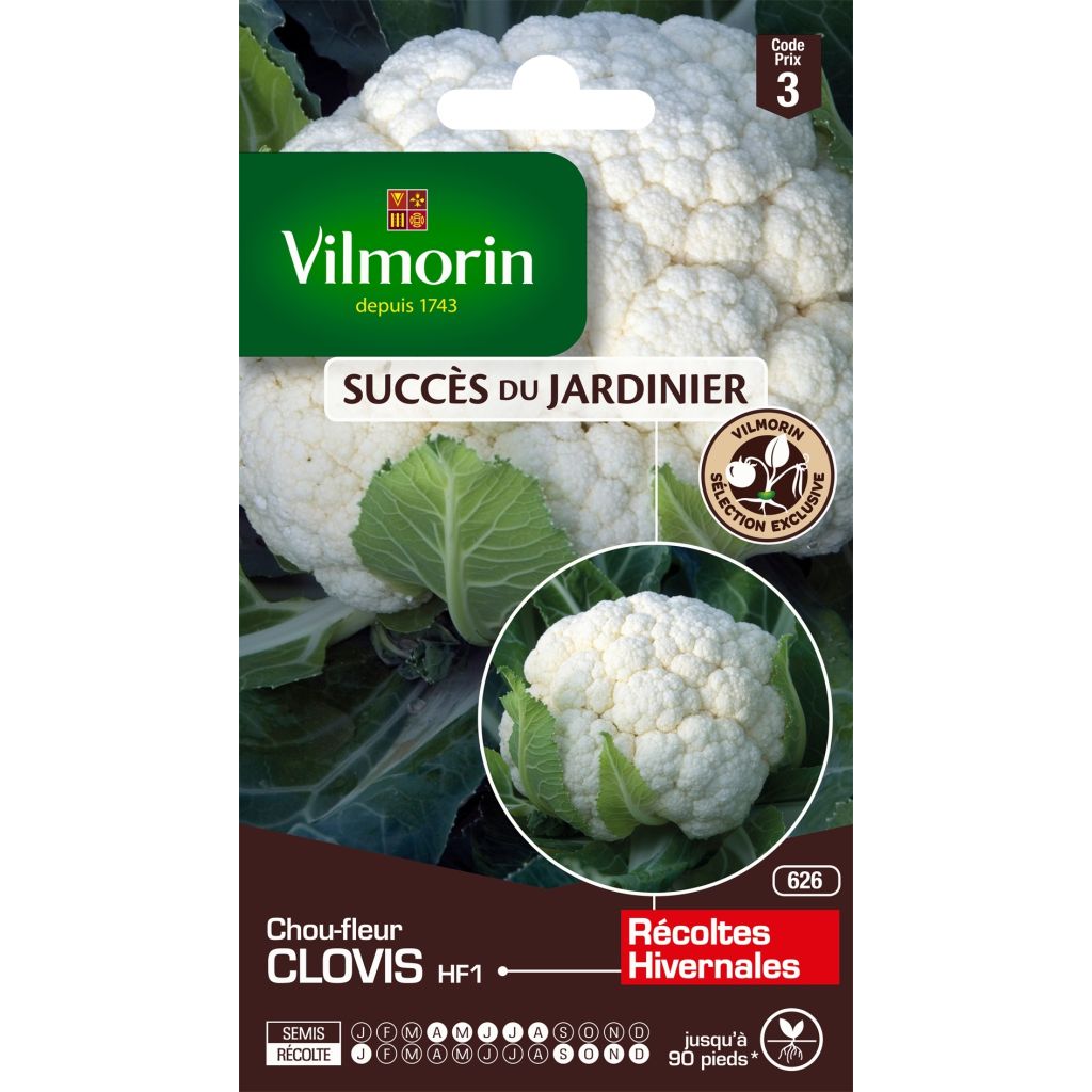 Cavolfiore Clovis F1