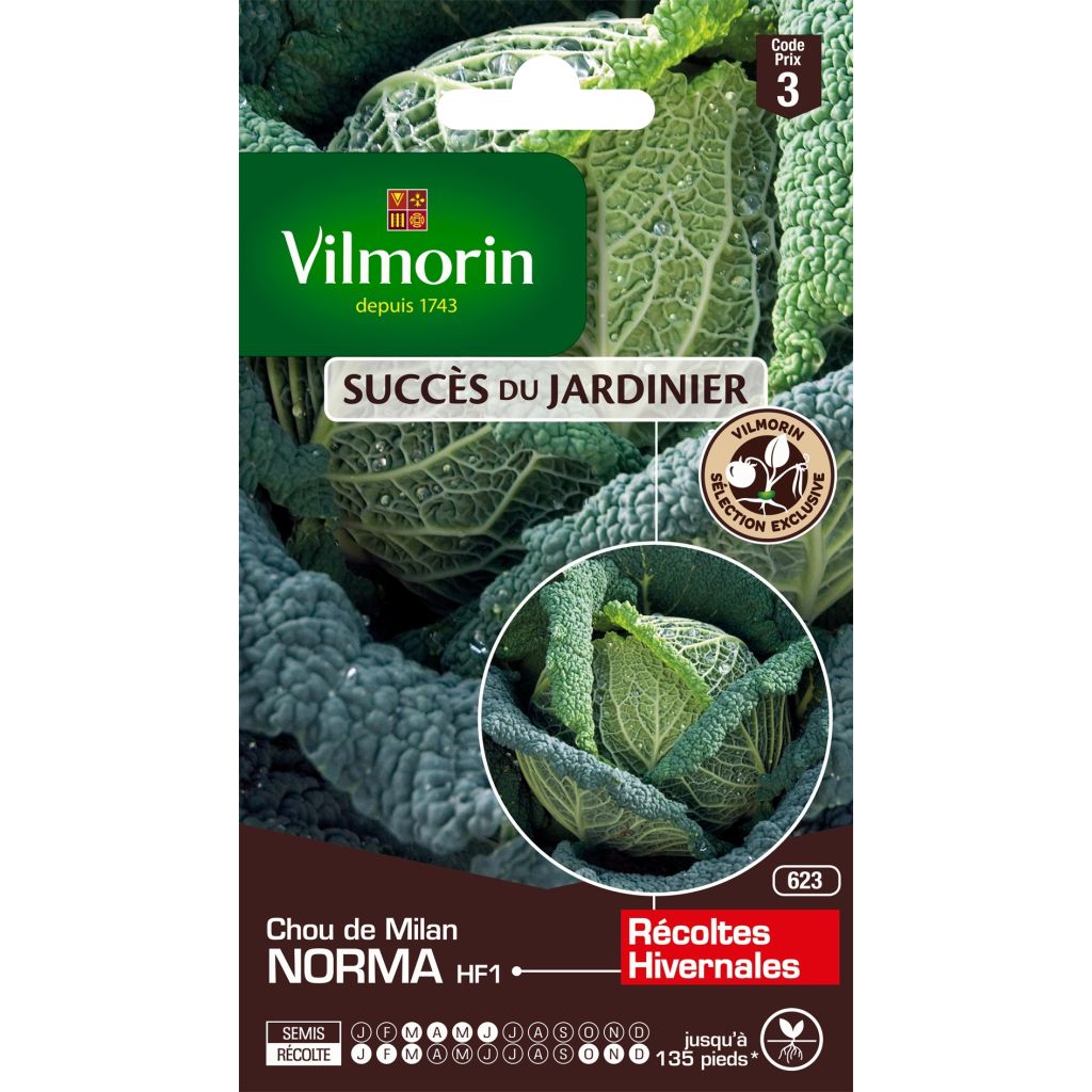 Cavolo verza Norma F1