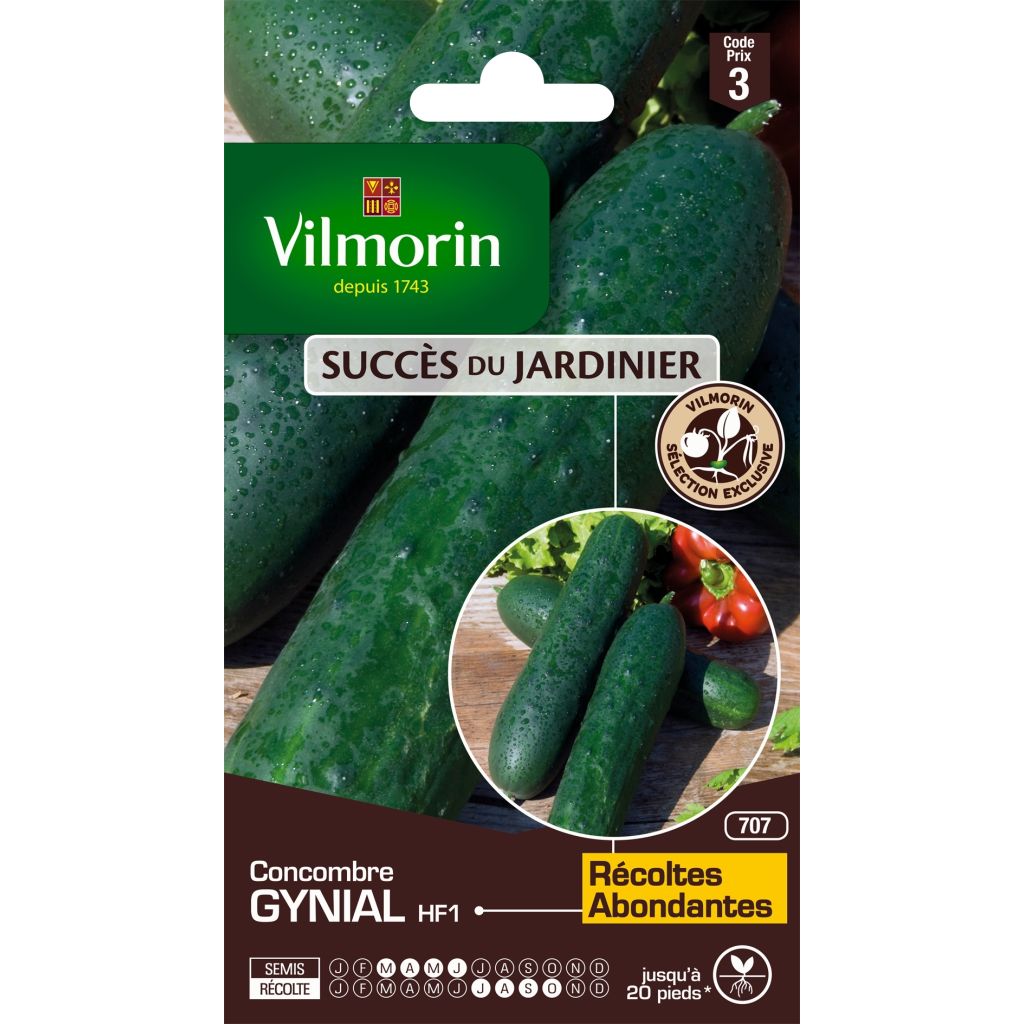 Cetriolo Gynial F1