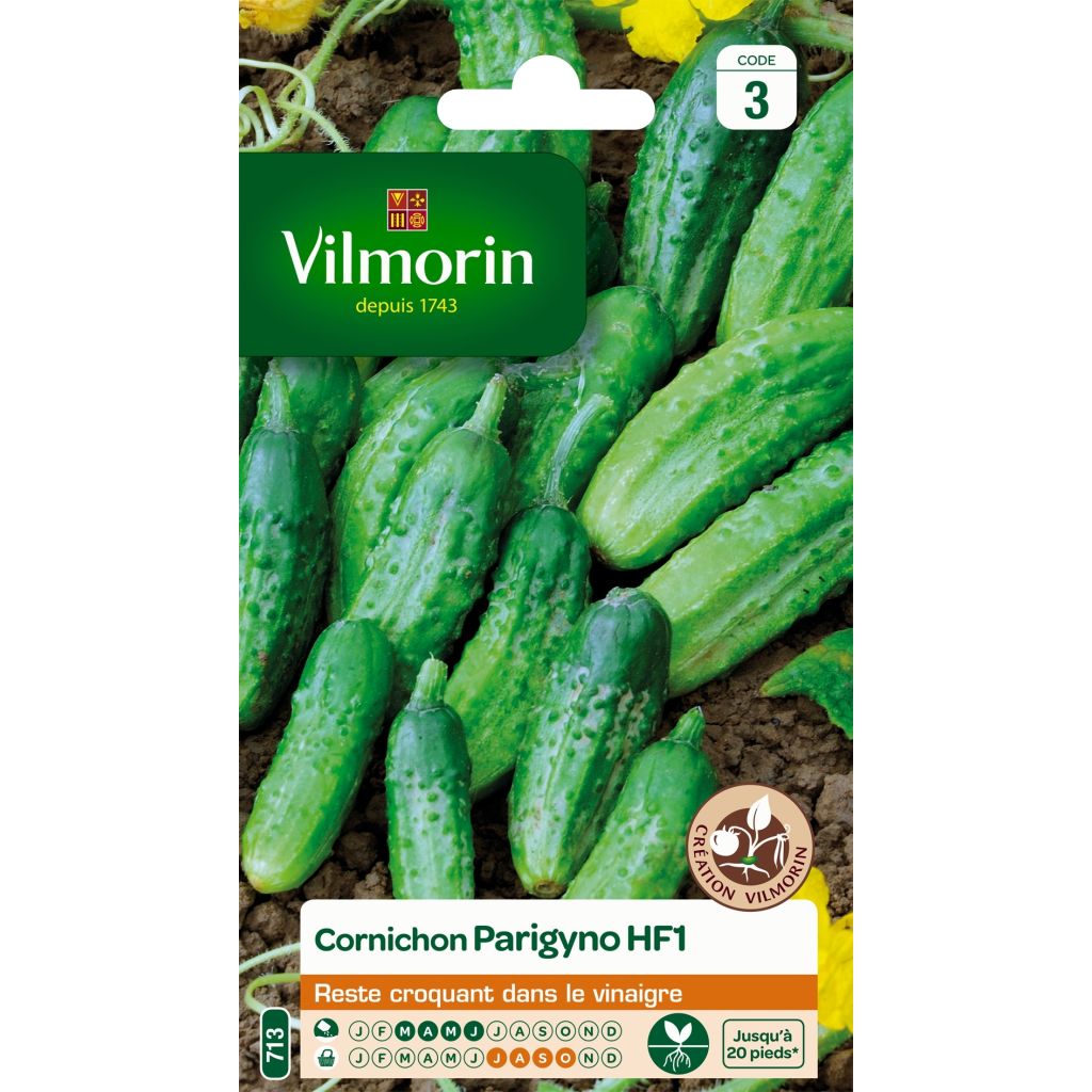 Cetriolino per sottaceto Parigyno F1