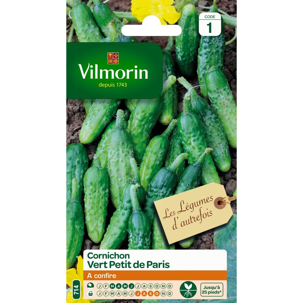 Cetriolino per sottaceto Verde Petit de Paris - Vilmorin