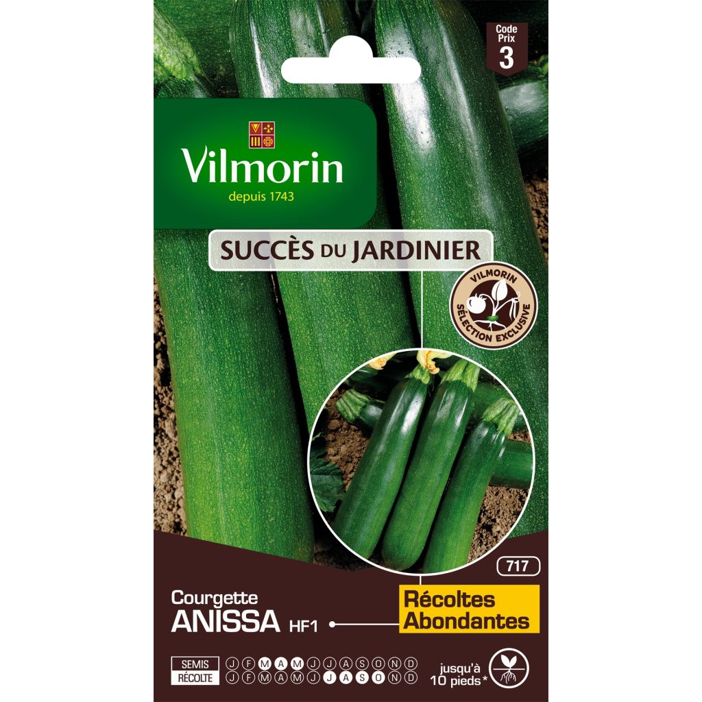 Zucchino Anissa F1