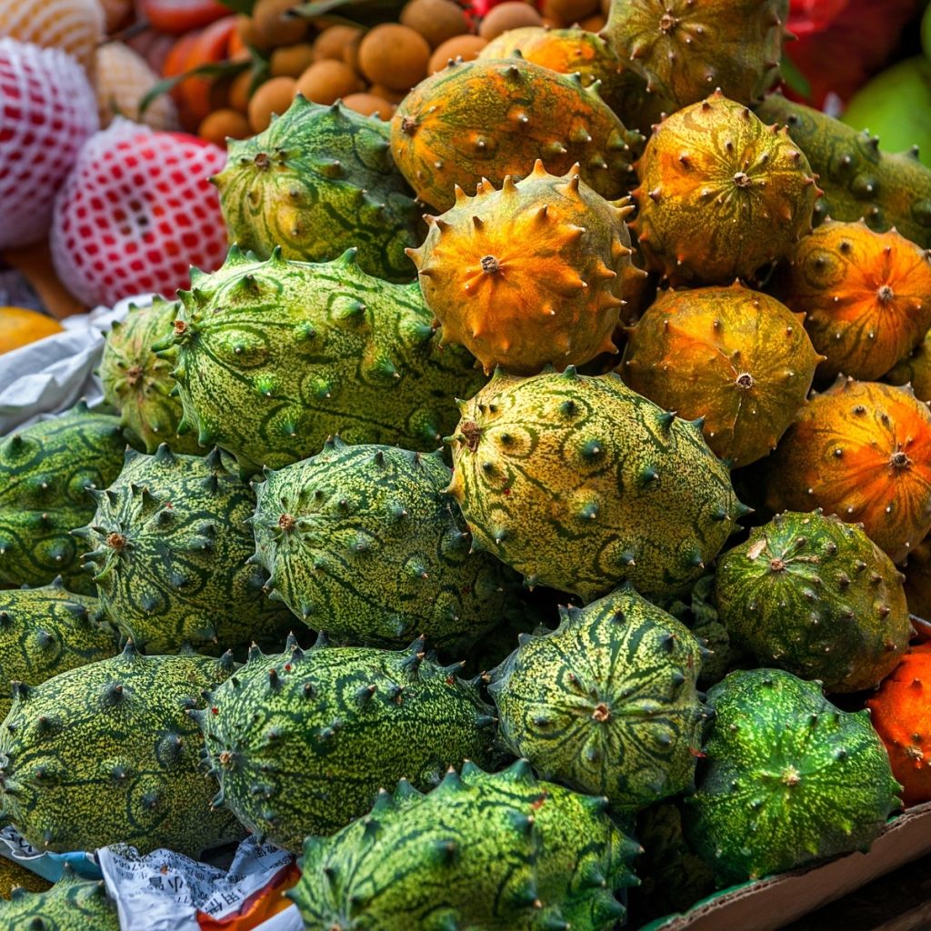 Cucumis metuliferus - Kiwano