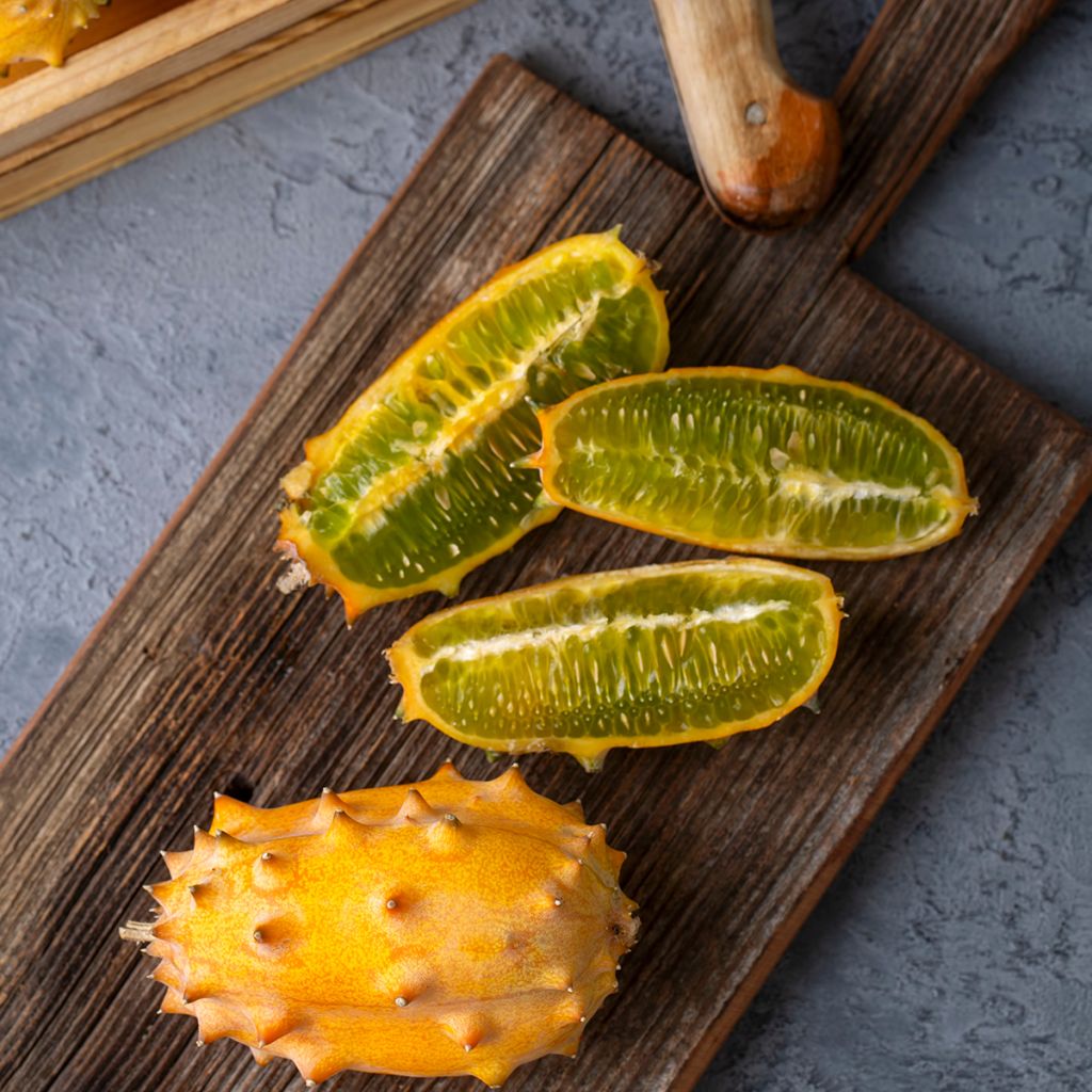 Cucumis metuliferus - Kiwano