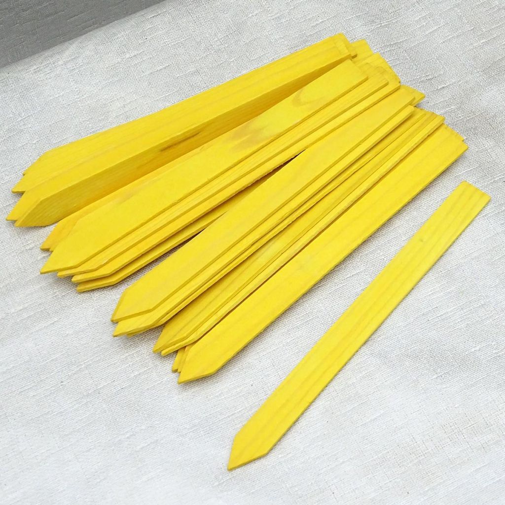 Etichetta da piantare in legno giallo