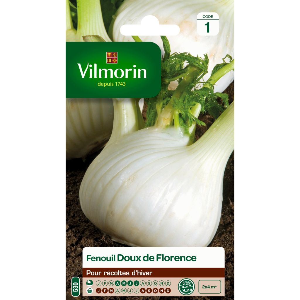 Finocchio di Firenze - Vilmorin