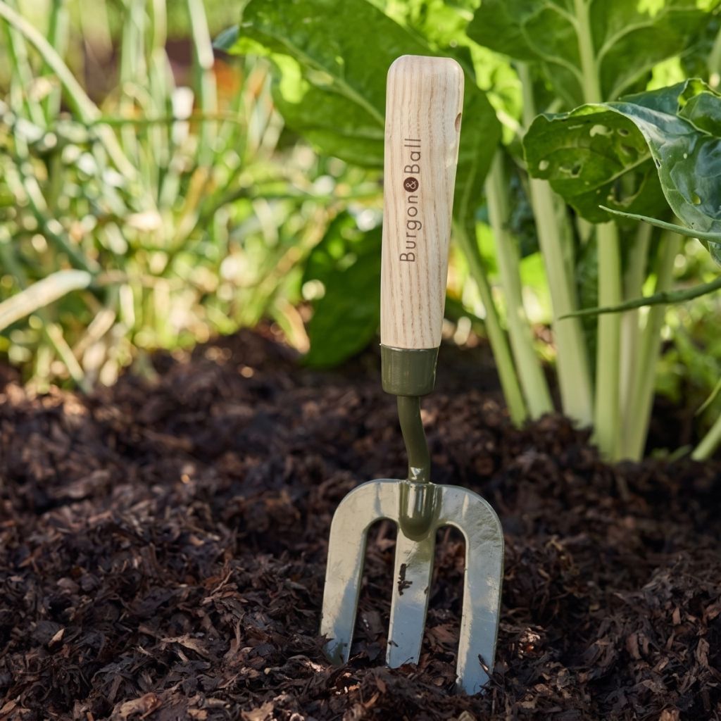 Forchetta per fiori BoronGreen Burgon & Ball - Linea RHS