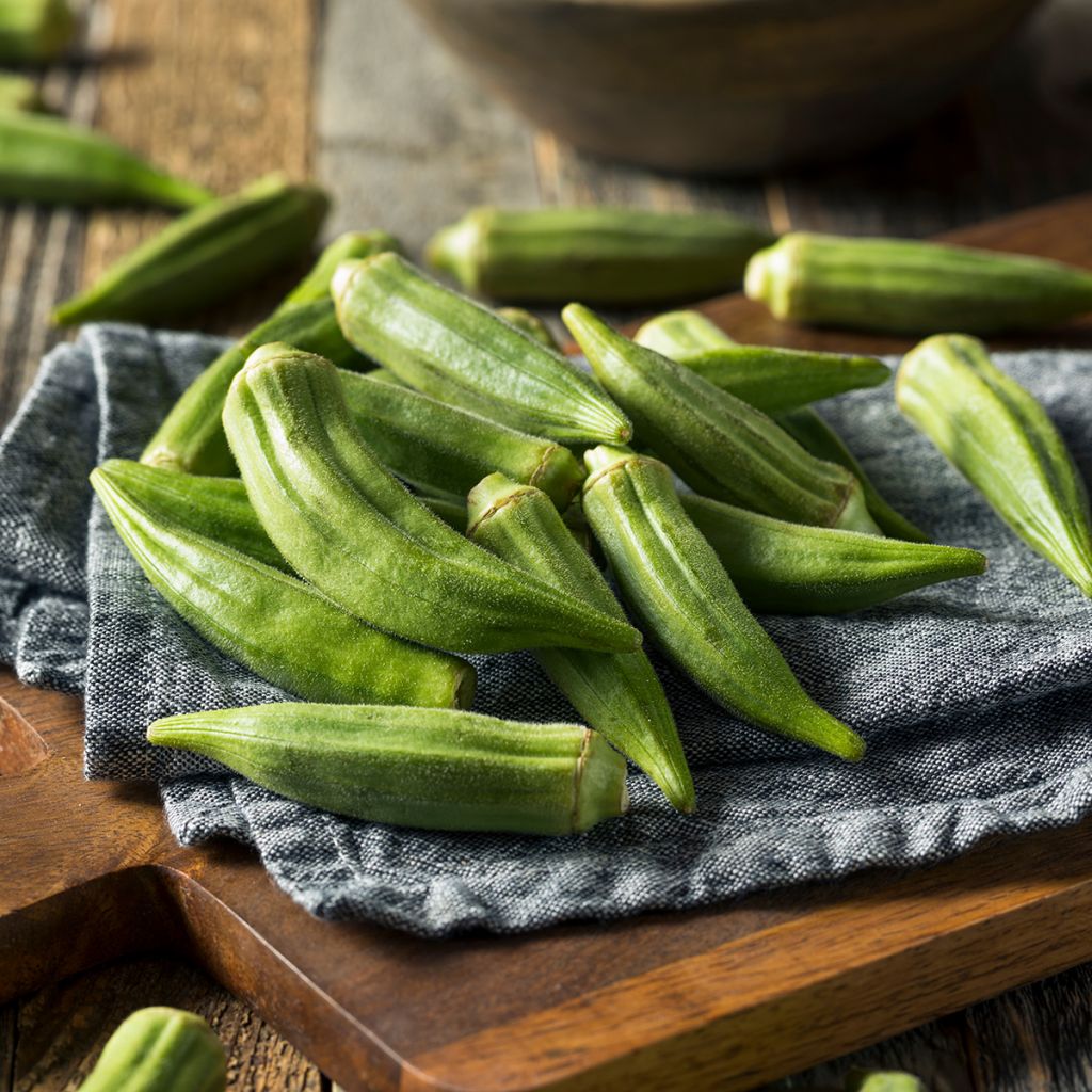 Abelmoschus esculentus - Okra