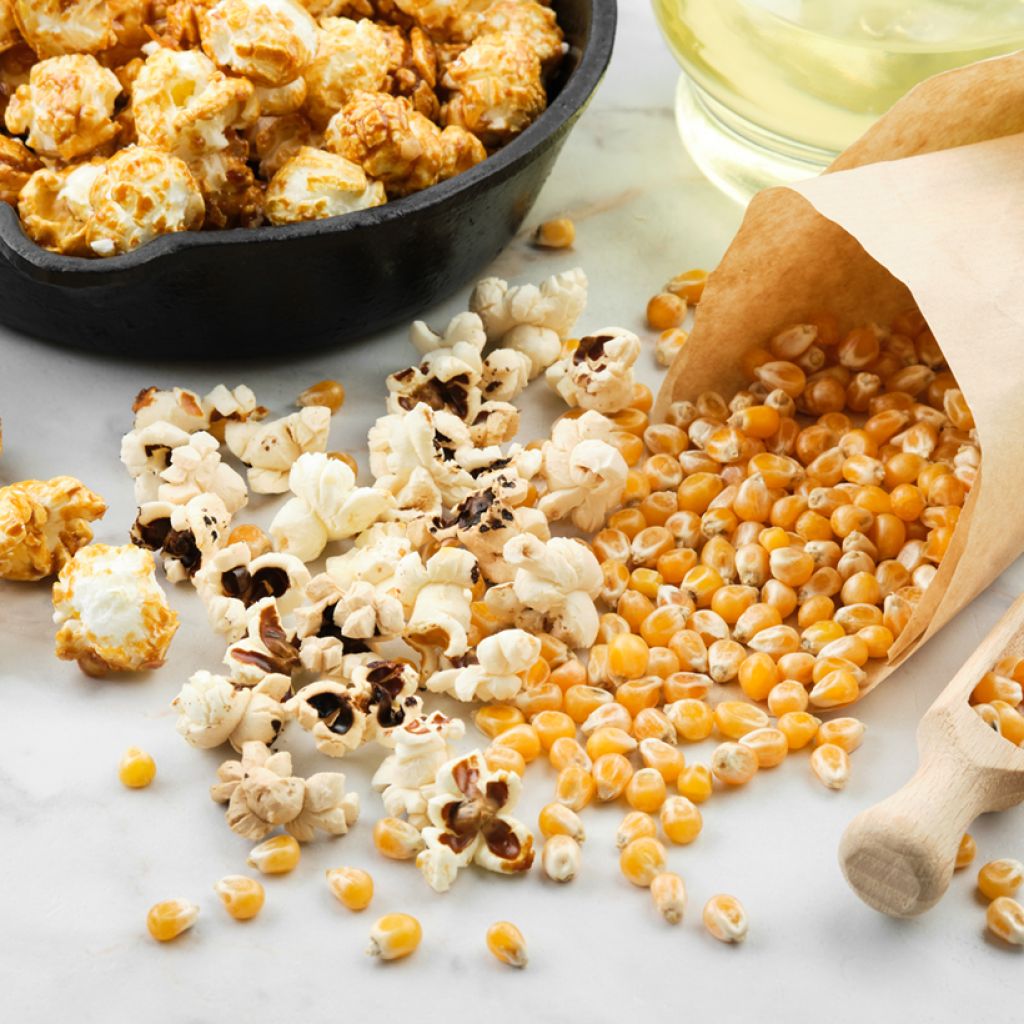 Mais popcorn Plomyk