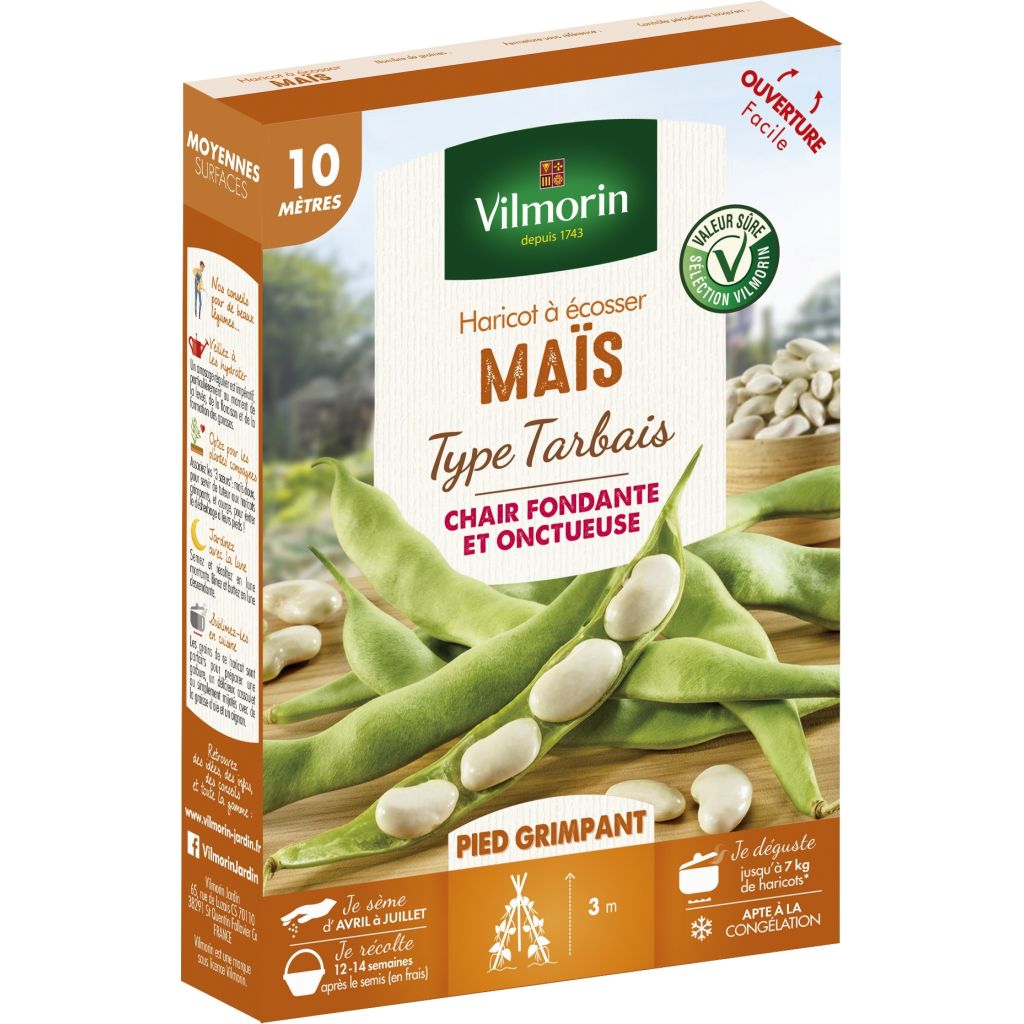 Fagiolo rampicante da sgranare Soissons maïs