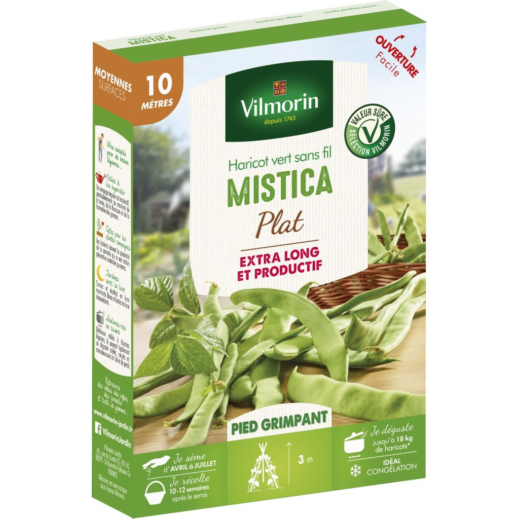 Fagiolo rampicante Mistica
