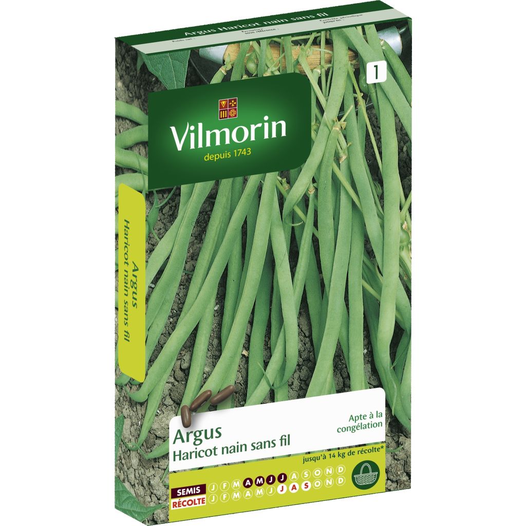 Fagiolino Argus - Vilmorin