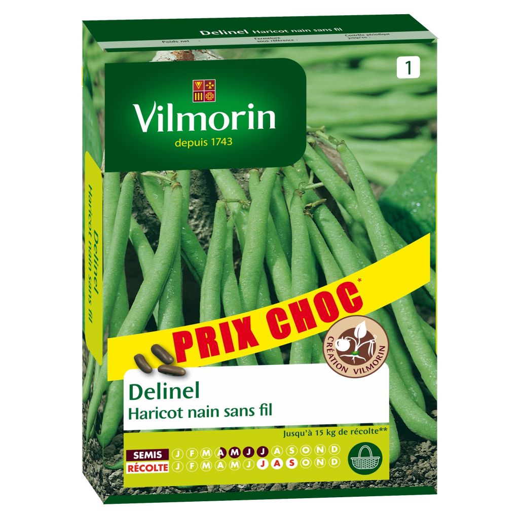 Fagiolino Delinel - Vilmorin