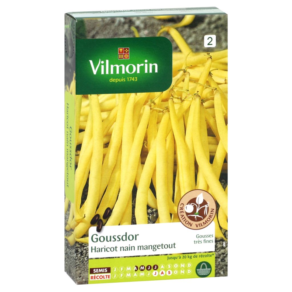 Fagiolo giallo nano Goussdor