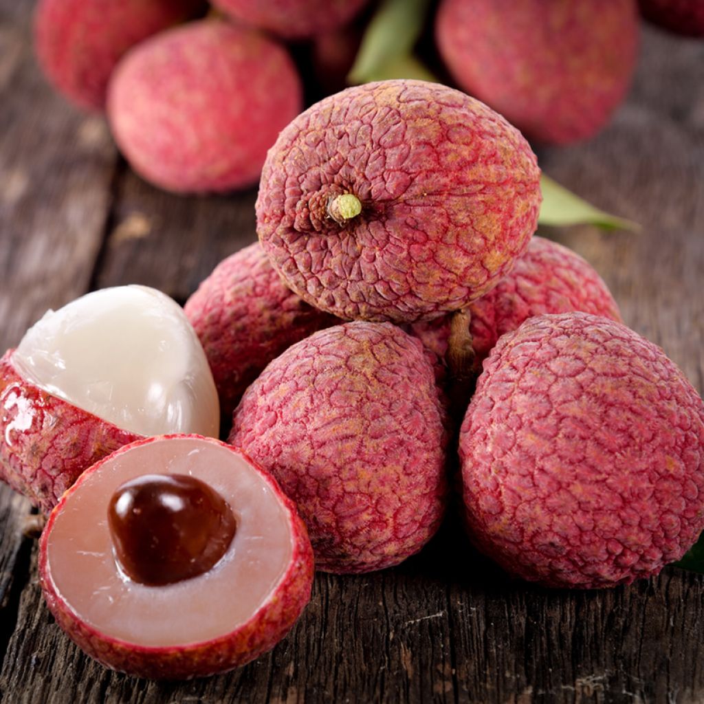 Litchi chinensis Kwai May Pink