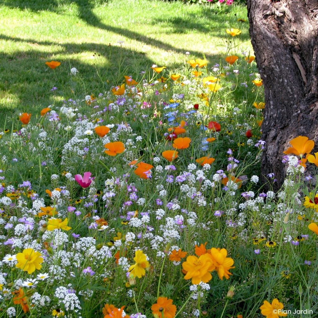 Miscela per piedi d'albero