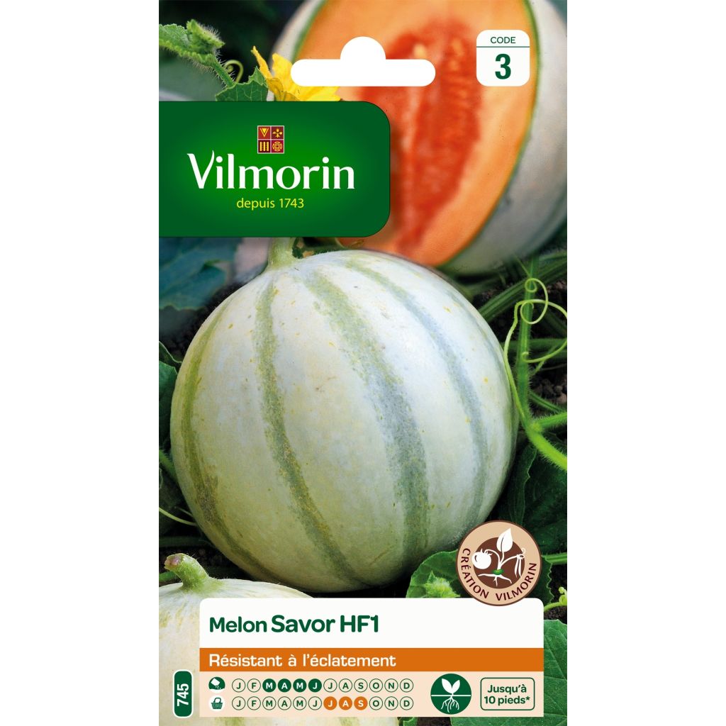 Melone Savor