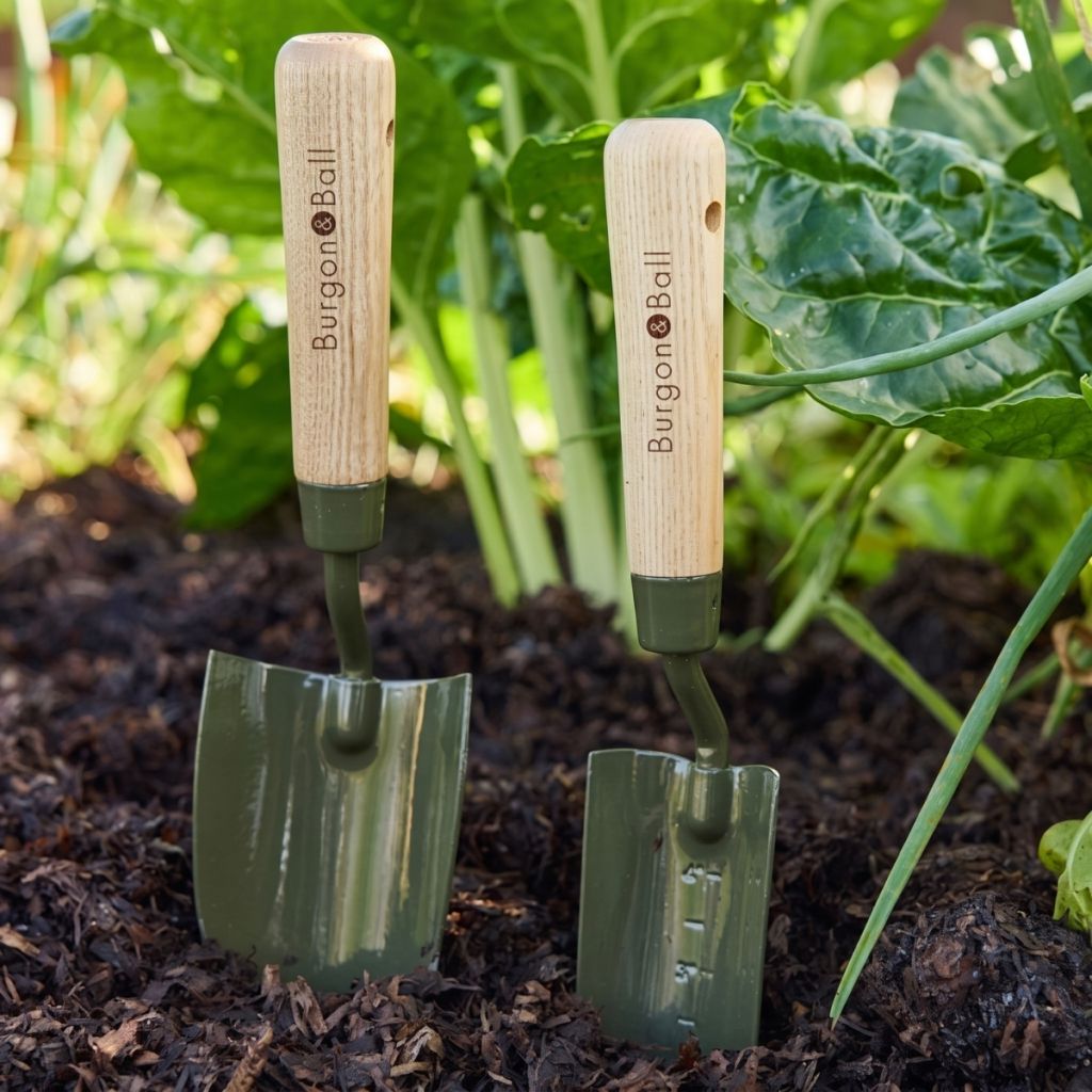 Piantatoio BoronGreen Burgon and Ball - Gamma RHS