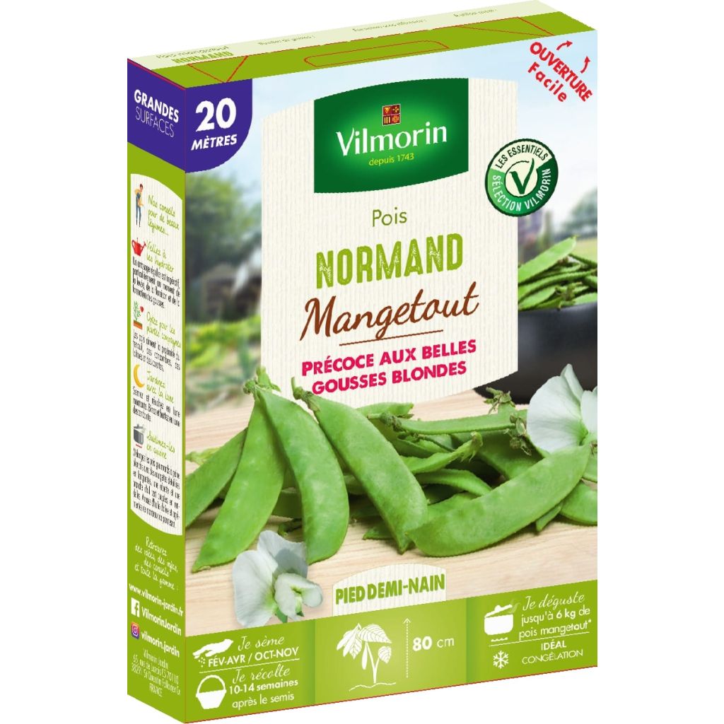 Taccola Normand - Vilmorin