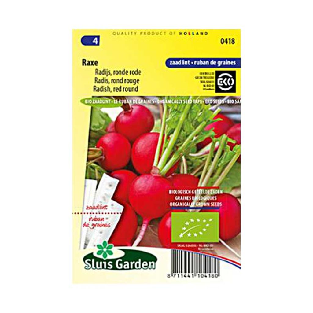Ravanello Rotondo rosso Raxe Bio