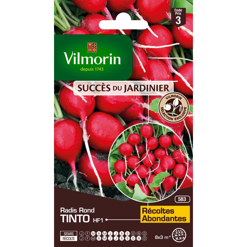 Ravanello Tinto F1