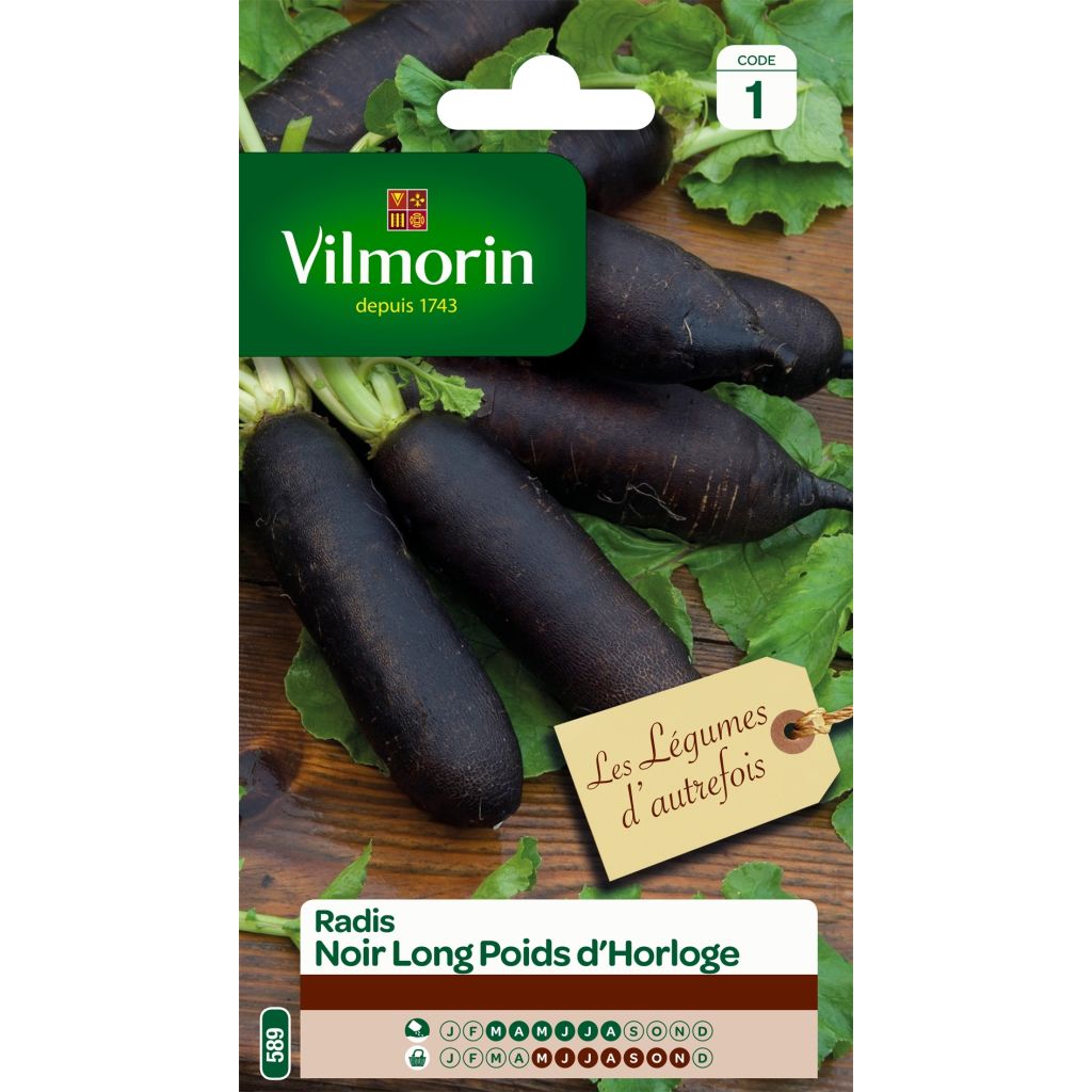 Ravanello nero lungo Poids d'Horloge