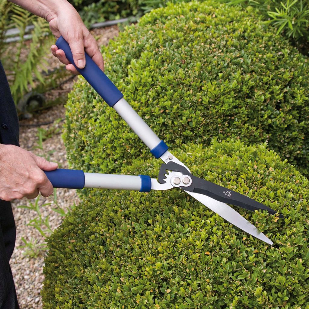 Taille-haie aluminium à poignées droites lames de 200mm Spear & Jackson