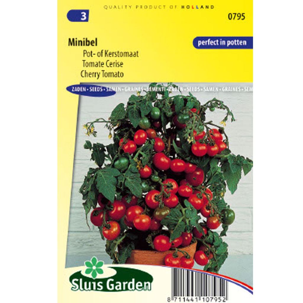 Tomate Minibel - Tomate Cerise
