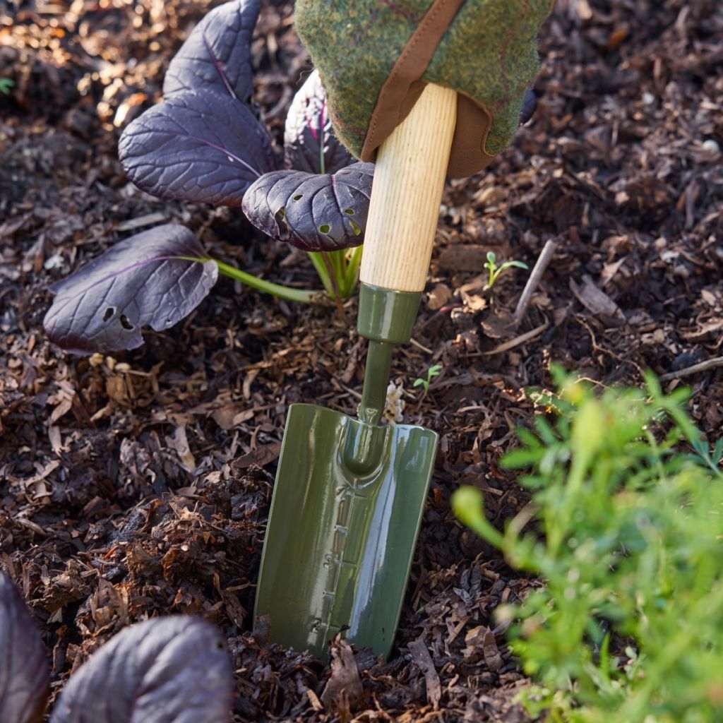 Trapiantatore graduato BoronGreen Burgon and Ball - Gamma RHS