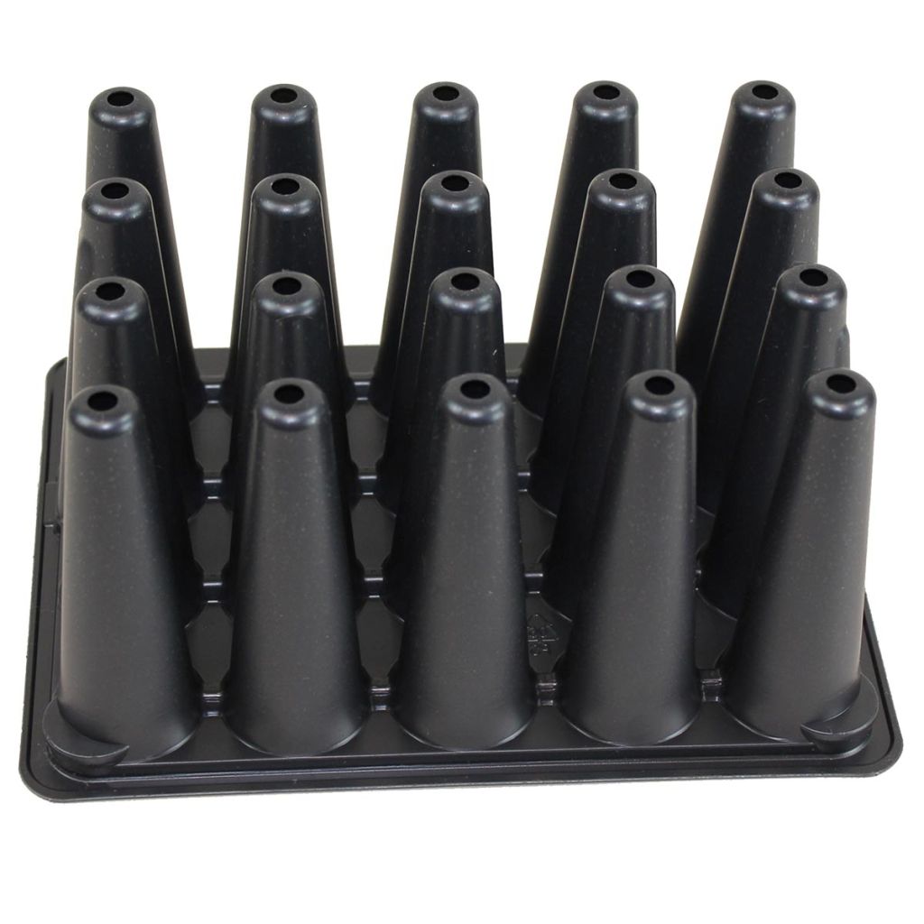 Vassoio da 20 alveoli speciale per carote - venduto in confezioni da 5