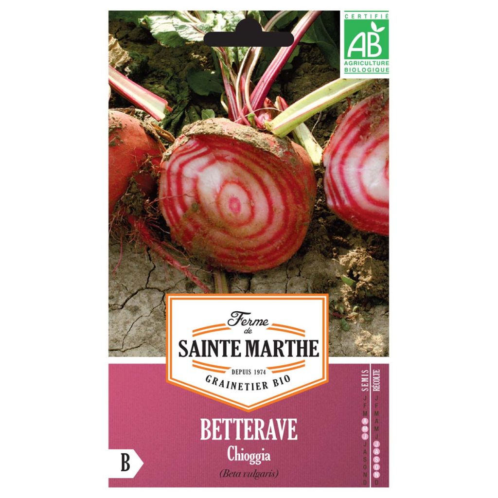 Barbabietola Chioggia Bio - Ferme de Sainte Marthe
