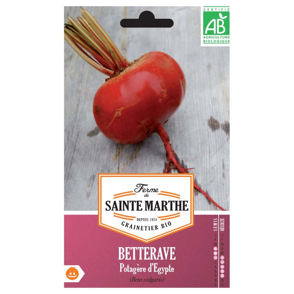 Barbabietola D'Egitto Bio