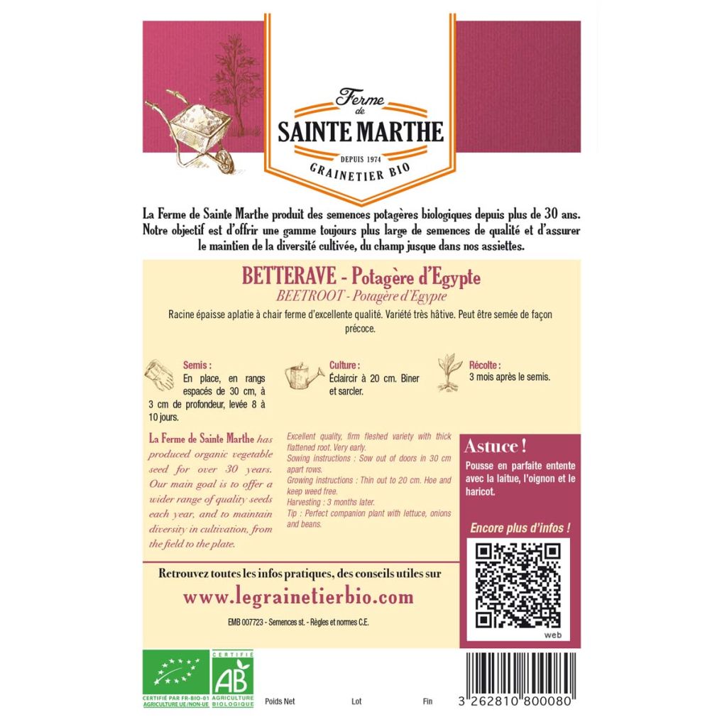 Barbabietola D'Egitto Bio