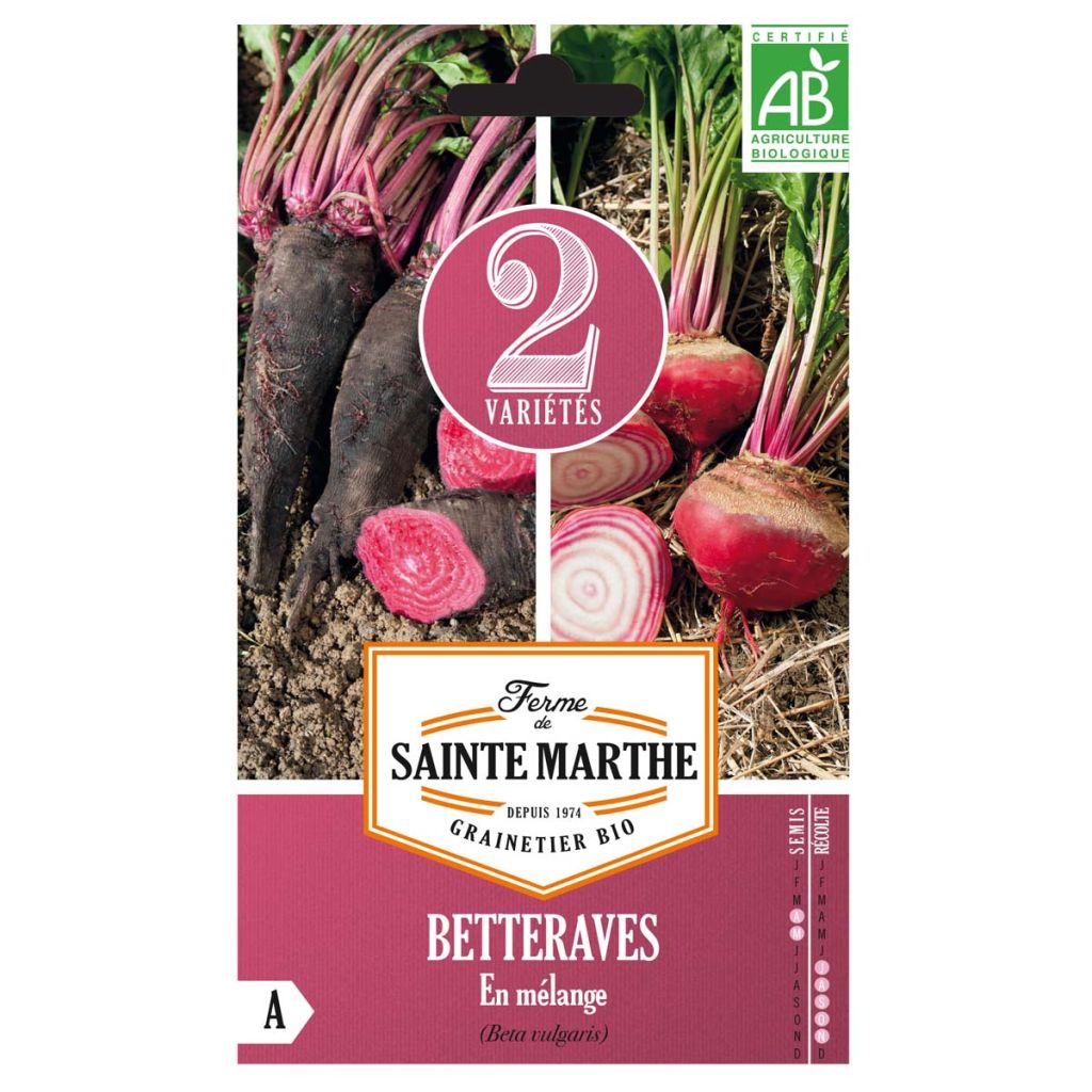 Barbabietola Crapaudine e Chioggia Bio