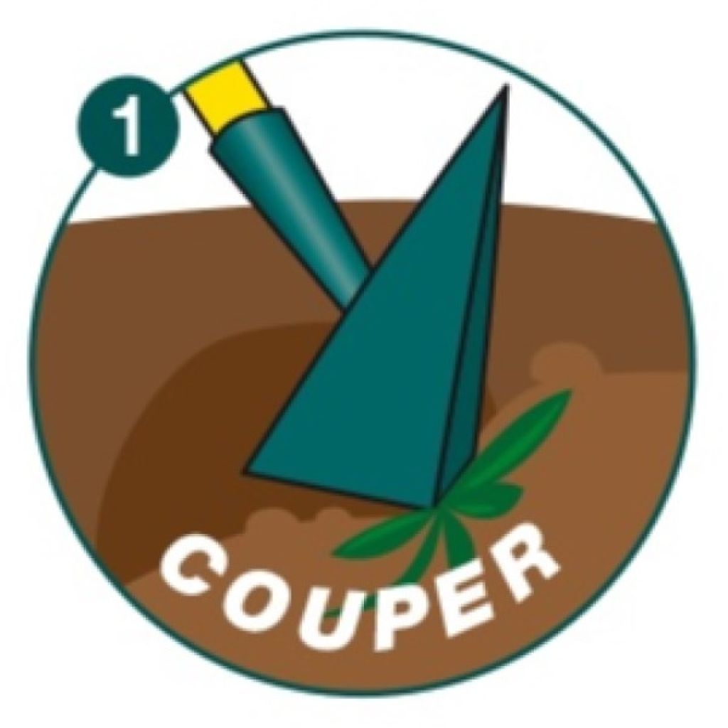 Zappa giapponese Leborgne NaturOvert