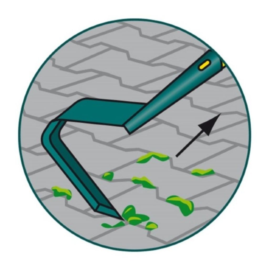 Zappa a lama a V Leborgne NaturOvert