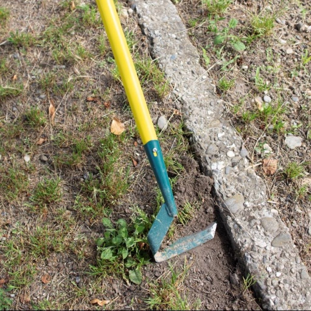 Zappa a lama a V Leborgne NaturOvert