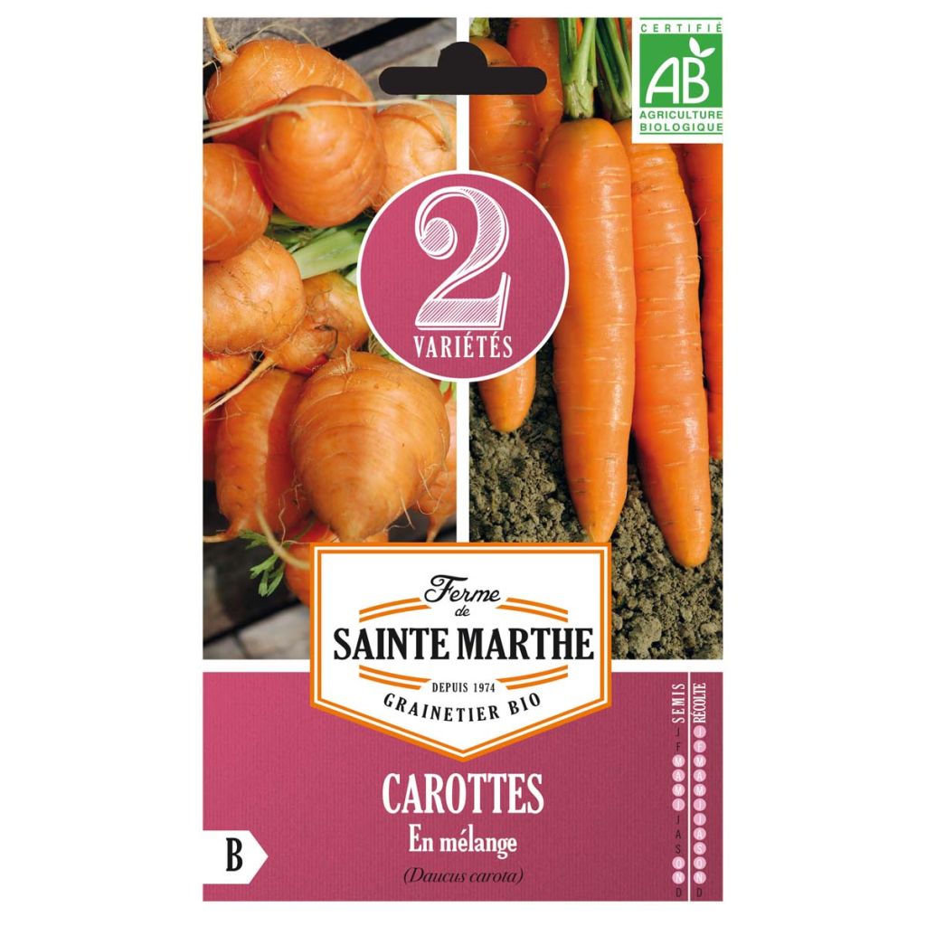 Carota Paris market 3 - Nantaise 2
