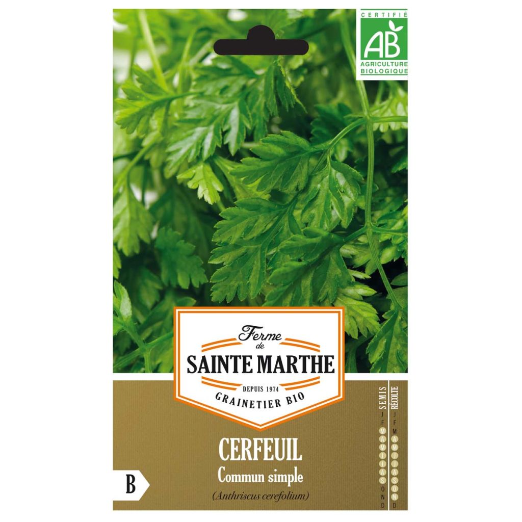 Cerfoglio comune Bio - Ferme de Sainte Marthe