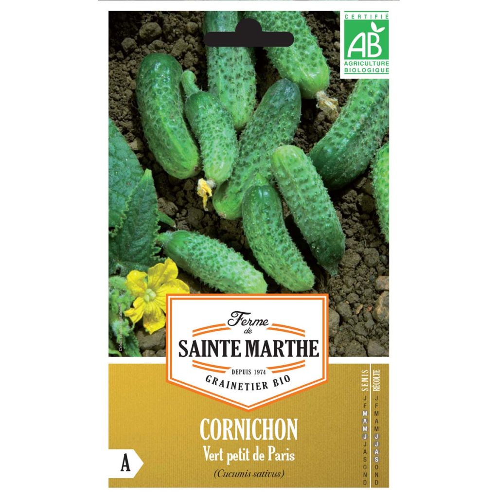 Cetriolino per sottaceto Verde Petit de Paris Bio - Ferme de Sainte Marthe
