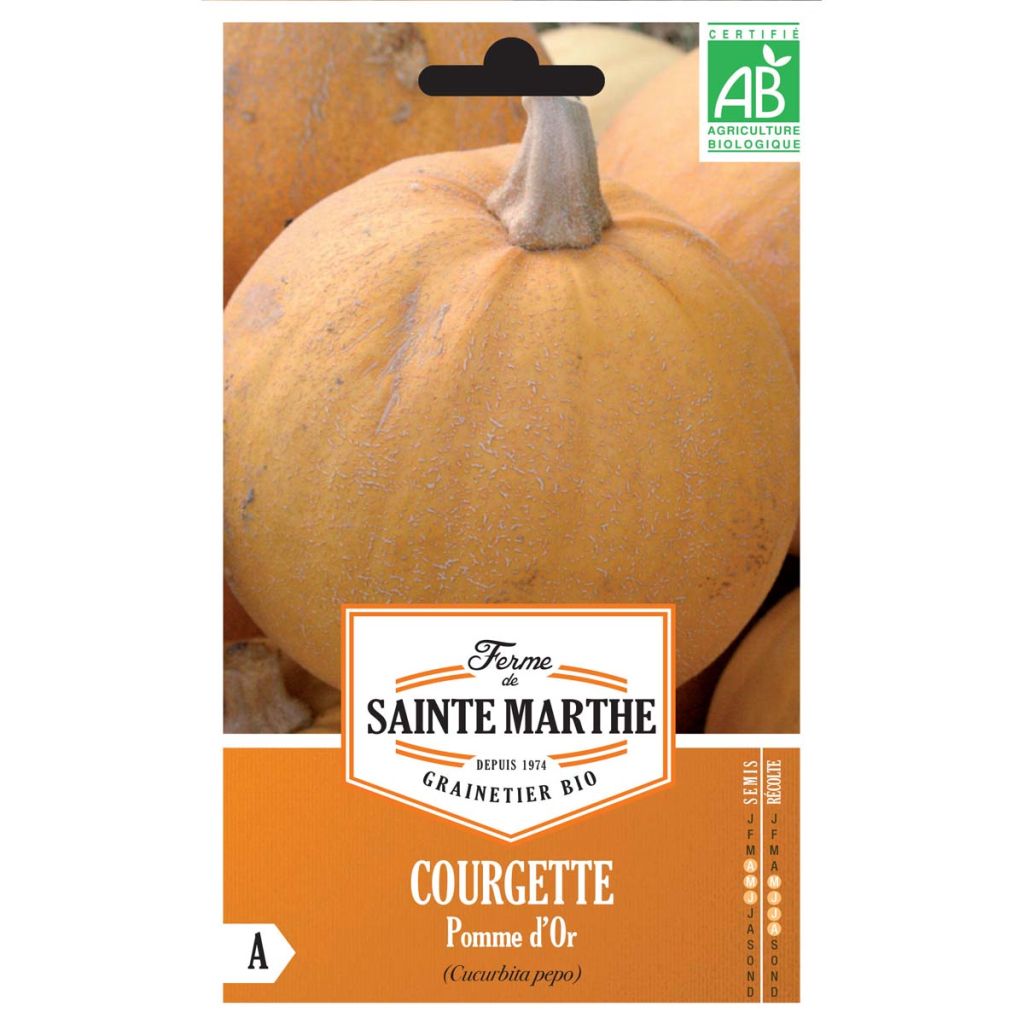Zucchino Pomme d'Or Bio - Ferme de Sainte Marthe