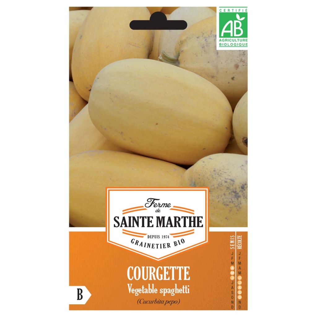 Zucchino Spaghetti Bio - Ferme de Sainte Marthe