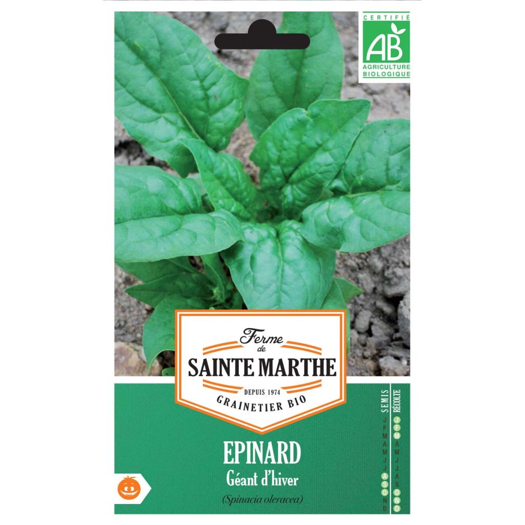 Spinacio Gigante de invierno Bio - Ferme de Sainte Marthe