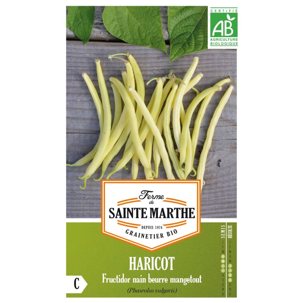 Haricot Fructidor nain beurre Bio – Top 20 - Ferme de Sainte Marthe